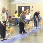 Seeley, Chelan, Lila, and Bella