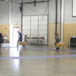 Sammie & Chelan in Altered Best of Winners