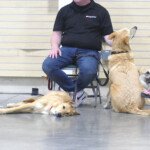 Quinn takes a break from all the festivities of her first show