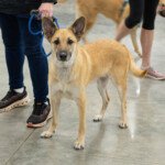 Forever Greene Fly Me to the Moon