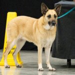 Frontier Still Water Runs Deep (Chelan)