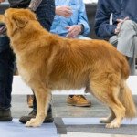 Gateway Shaktoolik (Ooli)