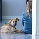 Mystique Pond Andarna (Andy)