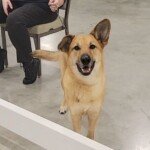 Nittany’s Greene Time Keeper