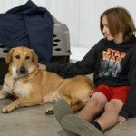 Nittany's Nothin' But a Good Time